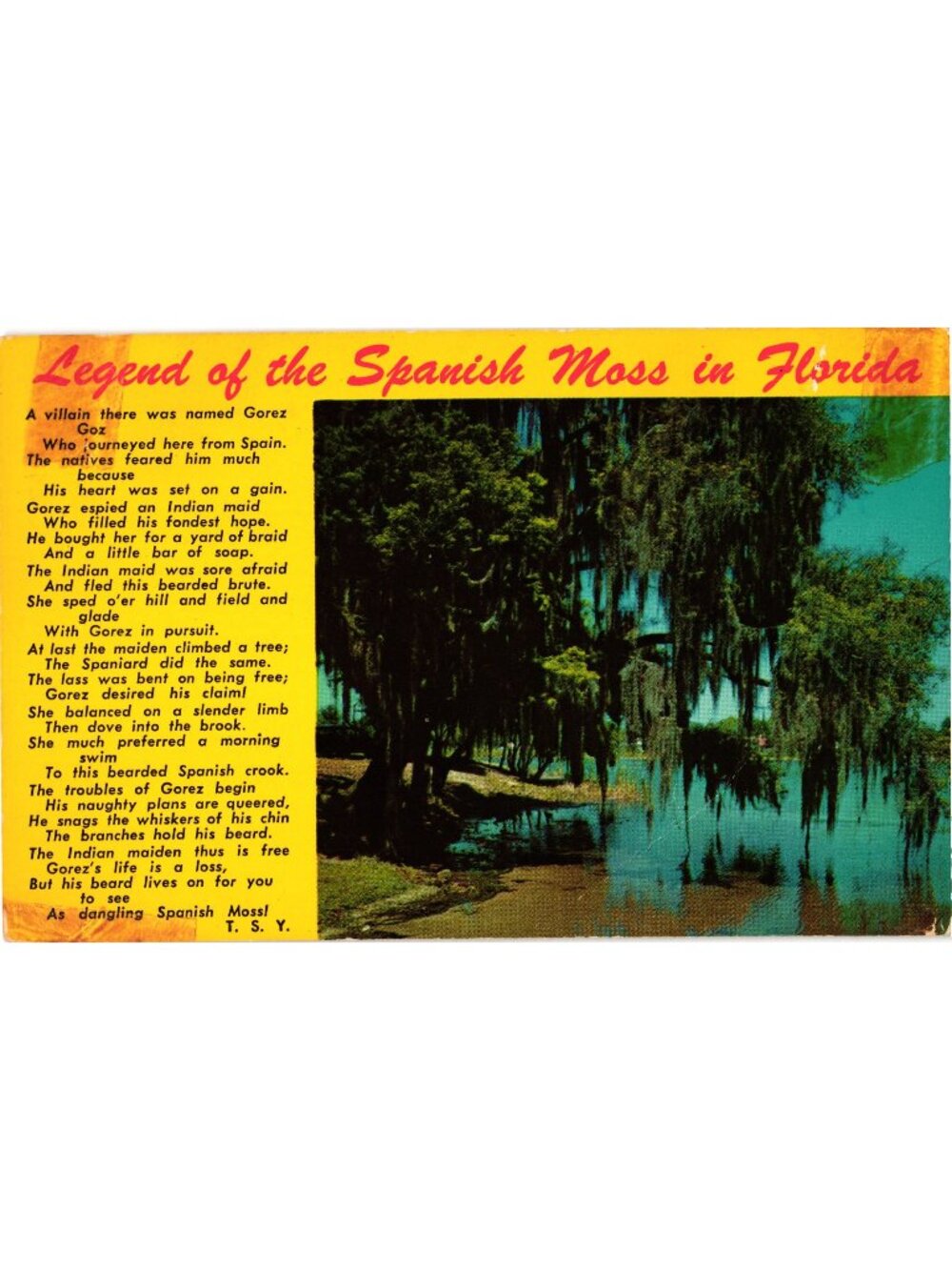 Legend Of The Spanish Moss In Florida Vintage Scenic Postcard Bright Colors